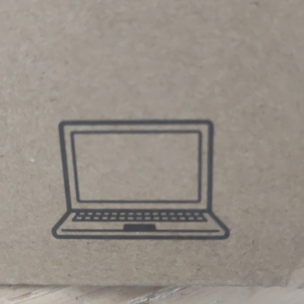 Dell Inspiron 15 3000 LAPTOP 128 GB SSD